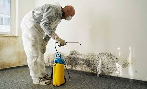 Coventry Lake, CT Mold Remediation Company